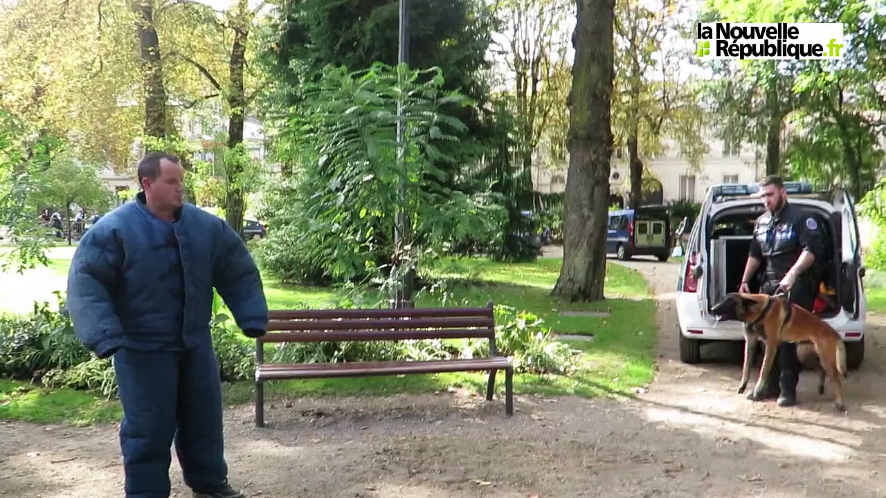 Dailymotion VIDEO. Tours. Aux Rencontres de la sécurité, les chiens assurent